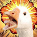 voodoogoose avatar