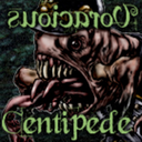 voraciouscentipede avatar