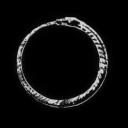 vortex-etrvria avatar