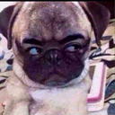 vothuong91-blog avatar