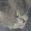 voxendoll-blog avatar