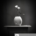 vrgnawlf-blog avatar