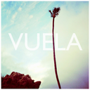 vuela83 avatar