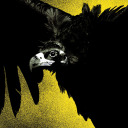 vulture-who-feeds-on-pain avatar