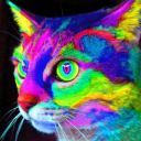 vulturecat avatar