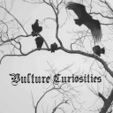 vulturecuriosities avatar