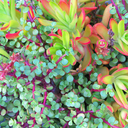 vuxinx-blog-blog avatar