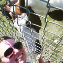 vvampirewweekend avatar