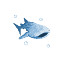 vvhaleshark avatar