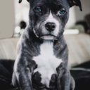 vvinners-blog avatar