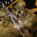 vvitchystitches avatar