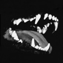 vvolf-teeth avatar