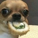 vvvvvvvvc-blog1 avatar