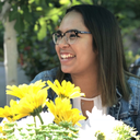 w0n-der-wall-blog1 avatar