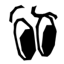 wackadoodle-time avatar