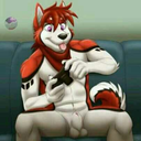 wackodoubloon avatar