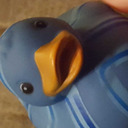 waffle-the-duck avatar