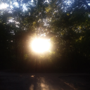 waffleyunsure avatar