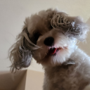 waggleswiggles avatar