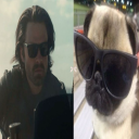 wagnerinetime avatar