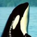 waitasec-blog avatar