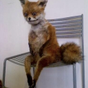 waitingforvienna0416 avatar