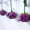 wake-up-dead-2 avatar