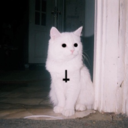 wakemeupwhenimalive avatar