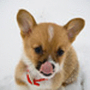 wakeupbrandon avatar