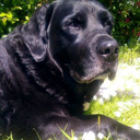 wakeupflawless-blog avatar