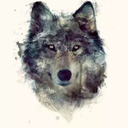 waking-to-a-dream avatar