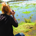 wakingtothesunlight avatar