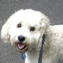 wakkopacksawaythesnacks avatar