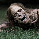 walking-dead-edits avatar