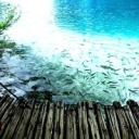 walking-in-a-winter-wonderlandd avatar