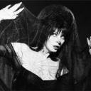 walking-into-spiderwebs avatar