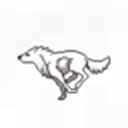 walking-with-wolves avatar