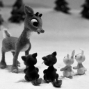 walkitanditalkit avatar