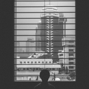 wall-flo-wers avatar