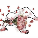 wallcrawler-official avatar