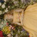 wallflower-1-9 avatar