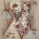 wallflower-61 avatar