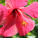 wallflower179 avatar