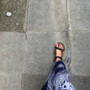 wallflowernatz avatar