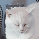 wallmaster867 avatar