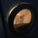 wallowing-wisp avatar