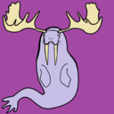 walrucebruce avatar