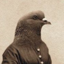 waltzing-with-butterflies avatar