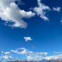 wandering----thoughts avatar