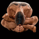 wandering-amygdala avatar